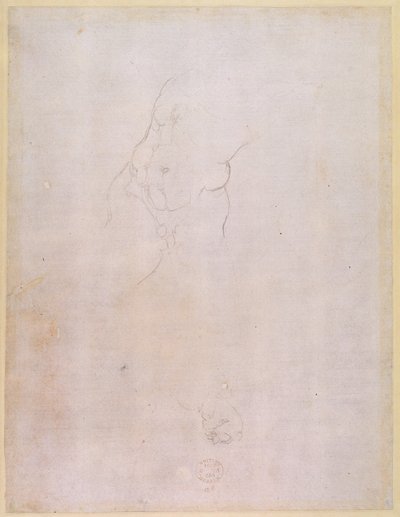 Estudio de un torso masculino (verso) de Michelangelo Buonarroti